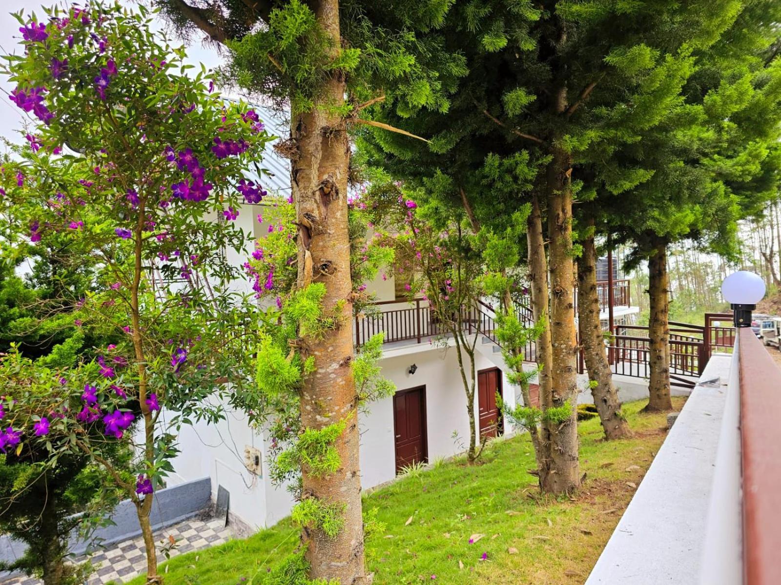 Rock And Mist Munnar Bed & Breakfast Devikolam Luaran gambar